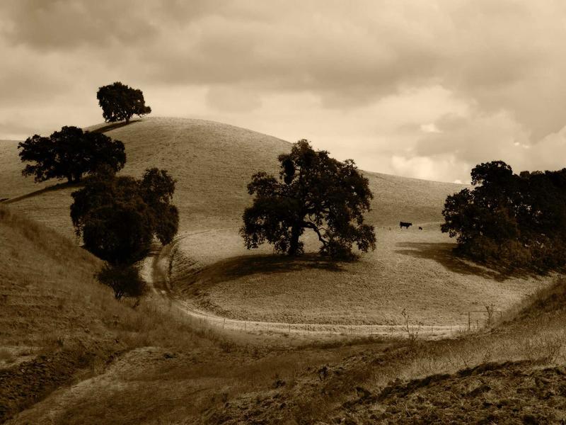 sudoku zen mode screenshot 4