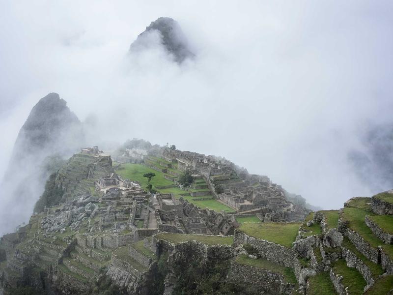 feedback screenshot 2