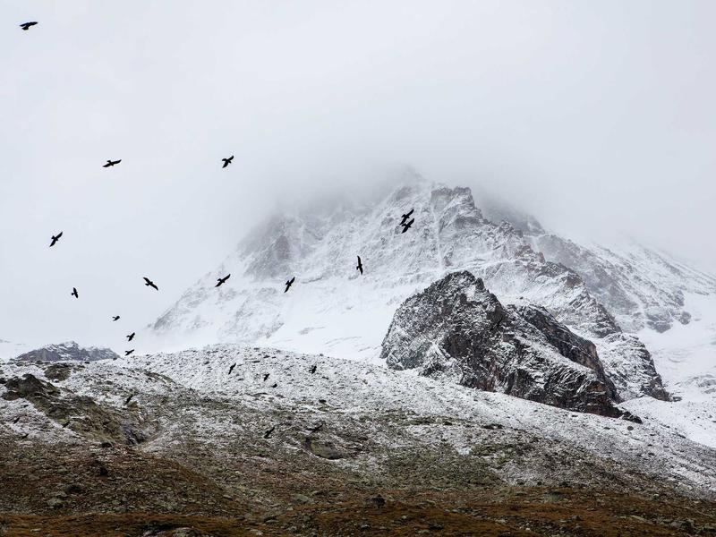 sudoku zen mode screenshot 5